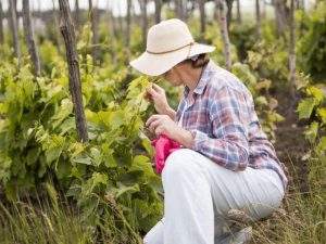 Read more about the article Balanced diet-Prevention is better