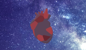 Read more about the article HEART-The Spritual Brain